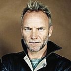 Shape Of My Heart by Sting 
